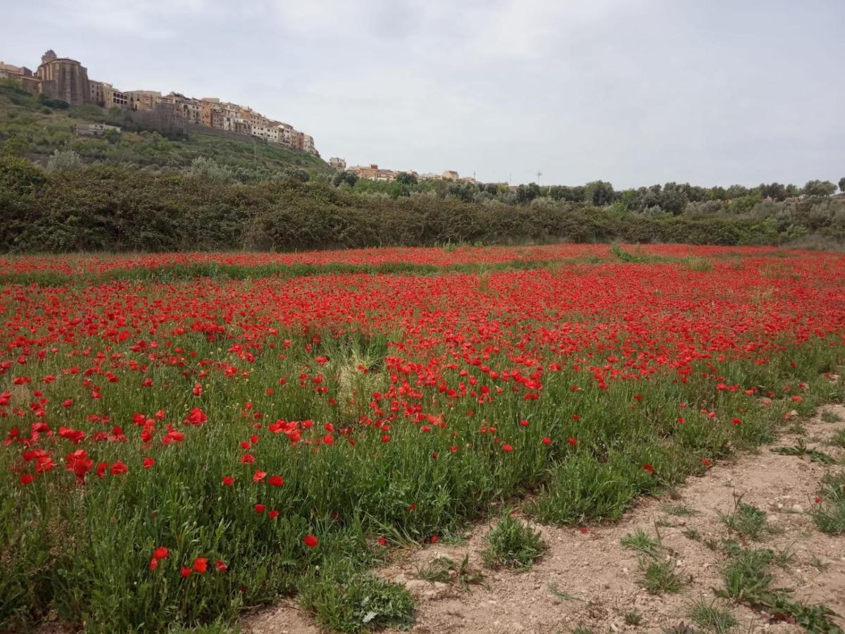 Els Ports D'Horta Appartement Horta de Sant Joan Buitenkant foto